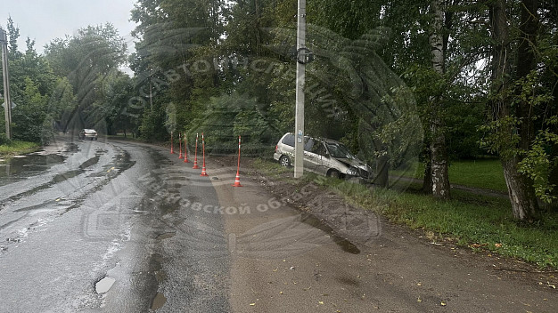 В Иванове 18-летний водитель протаранил дерево и сбежал